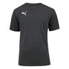 Puma Teamwear Puma Teamgoal Jersey