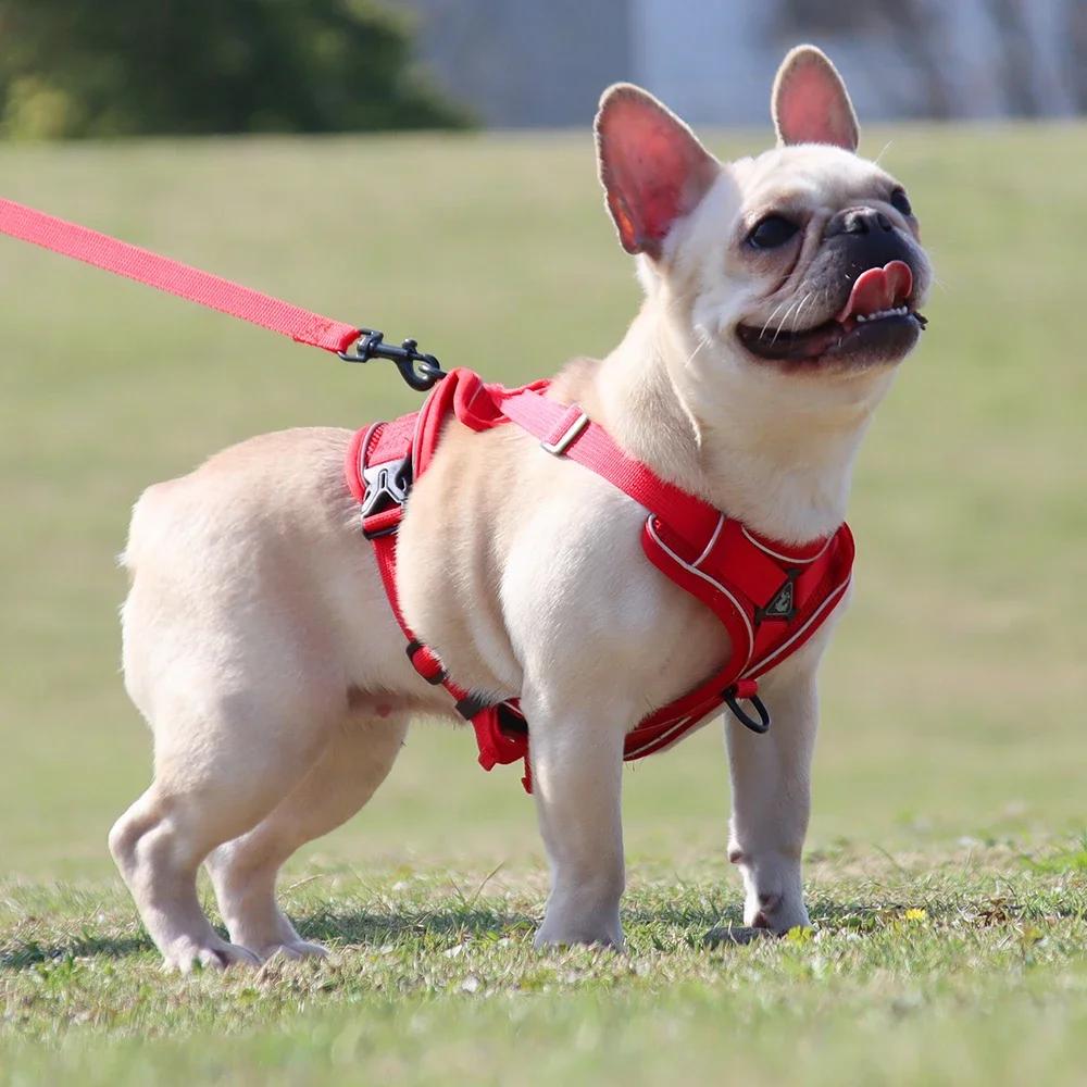 Reflective Puppy Harness Dog Vest with Walking Lead Leash Adjustable Kitten Collar Nylon Pet Harness for Small Medium Dogs Cats