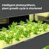 LED Plant Grow Light Strips 12-inch Full Spectrum Grow Lights for Indoor Plants Plug and Play 2.7W Plant Lights for Seedling Vegetable Flower Succulen