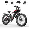 TIFGALOP 26-inch Electric Bike, 1000W Motor, Removable 48V22Ah Lithium Battery, 45-90 Km Range, Dual Shock Absorbers, Unisex