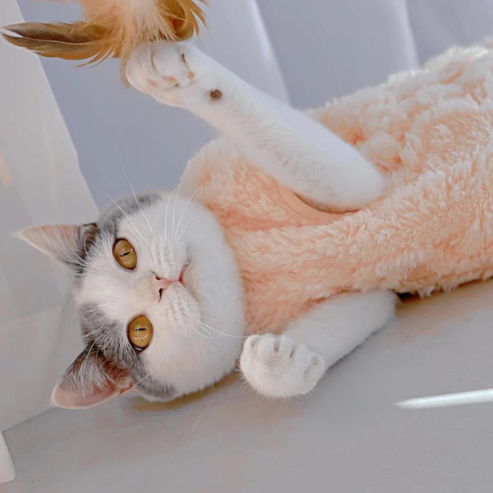 Dog Comfortable Fleece Pullover Pet Clothes Cute Wavy Double-sided Kitten Coats Sweater for Small Medium Dogs Cats Warm Winter Outfit Puppy