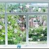 36 Pieces Star Window Decals for Bird Strike Prevention - Reble Rainbow Suncatcher Clings to Save Birds, Non-Adhesive Anti-Collision Stickers, Easy