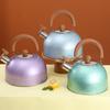 Flat Bottom Stove Water Kettle 2/3L Teapot Durable Star Point Whistle Kettle  Home