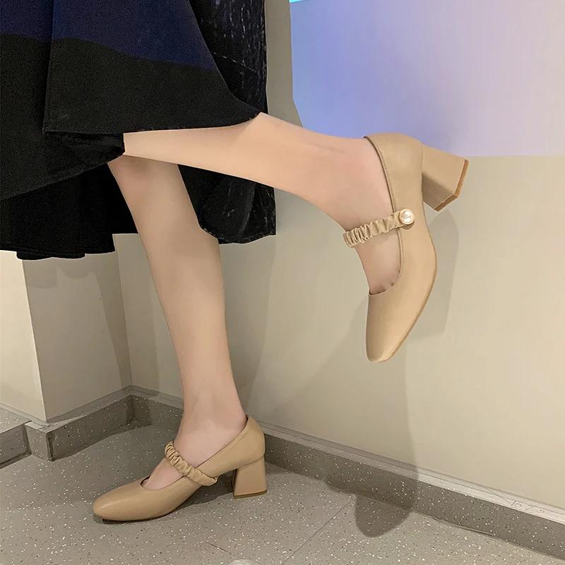 Mary Jane Shoes Women's 2024 New Spring Autumn Winter Shoes Thick Heel High Heels Square Head Fairy Style Korean Versatile Flats