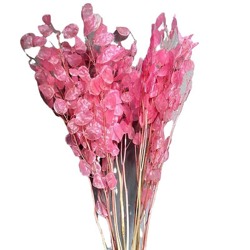 Сухоцвет серебряный веер, белый цветок, украшение для дома своими руками, букет, натуральный настоящий цветок, сухоцвет серебряный веер, бессмертный цветок