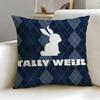 Popular Ttally Weijler Cushion Cover Soft  EasyWash Pillow Case  Versatile for Couch Bed Travel and Office
