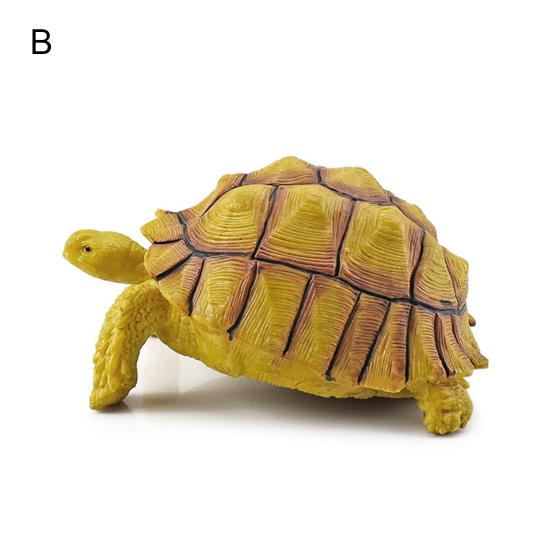Sulcata Tortoise Mold Vivid Clear Texture 3D Effect Sea Ocean Life Simulation Animal Model for Kids