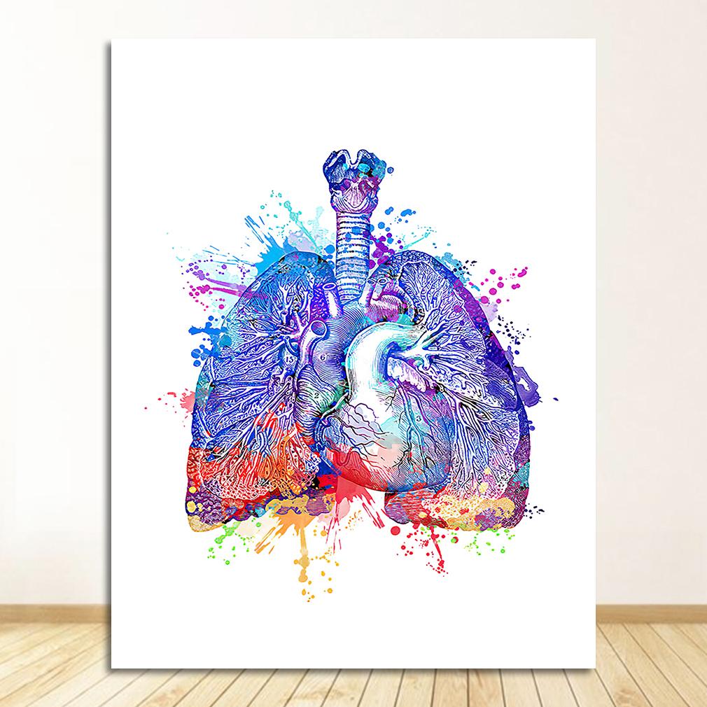 Breast Wall Art Canvas Painting Nordic Posters And Prints Wall Pictures Doctors Office Decor Colorful Anatomy Brain Heart kidney