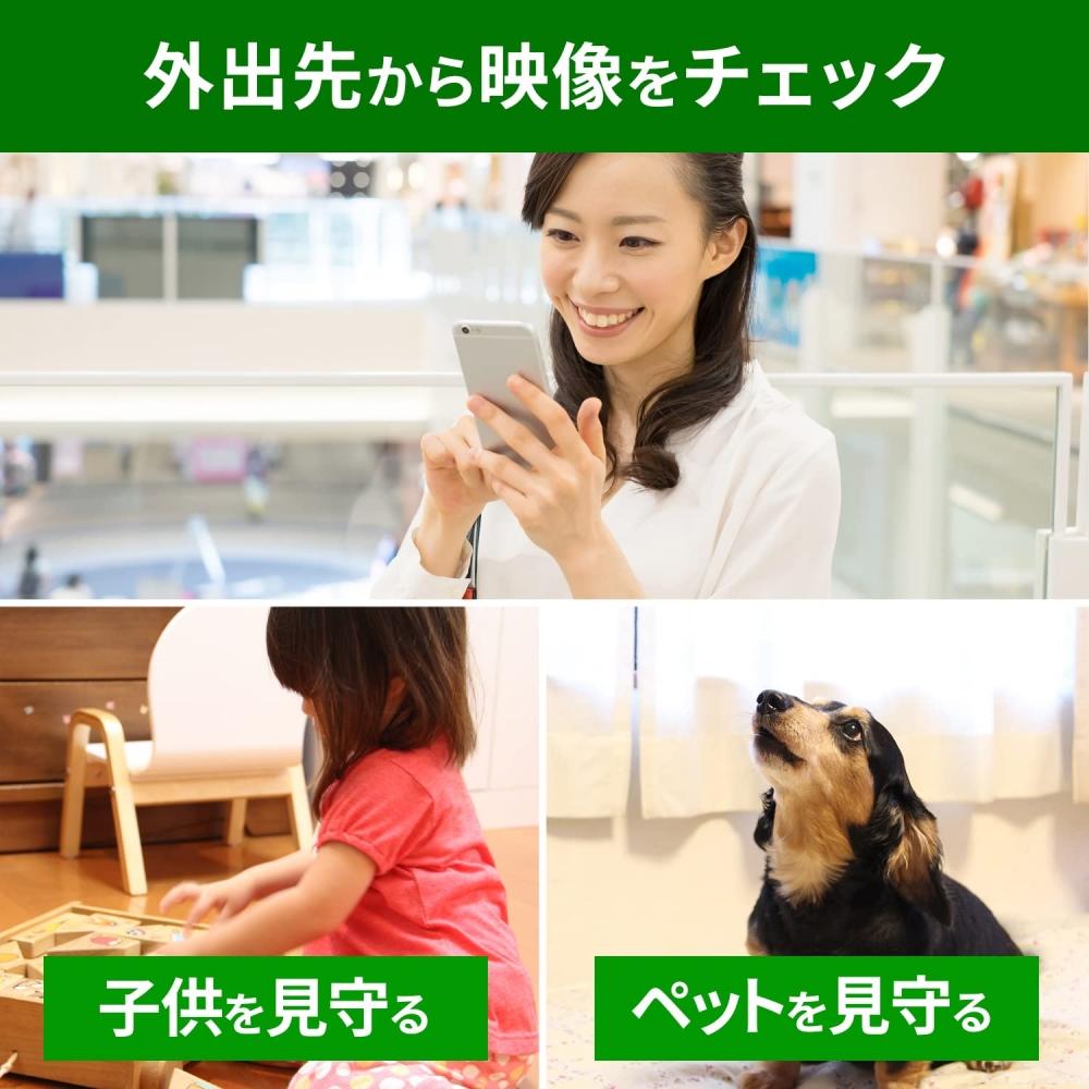 I-O DATA Сетевая камера Японский производитель Камера безопасности Уникальное шифрование P2P-коммуникация Панорамный наклон Поворот Wi-Fi (2,4) Проводная локальная сеть Темная стрельба