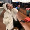Autumn and Winter Lamb Fur Fur Plush Fashion Warm Jacket Imitation Otter Fur Hooded Loose Coat Jacket