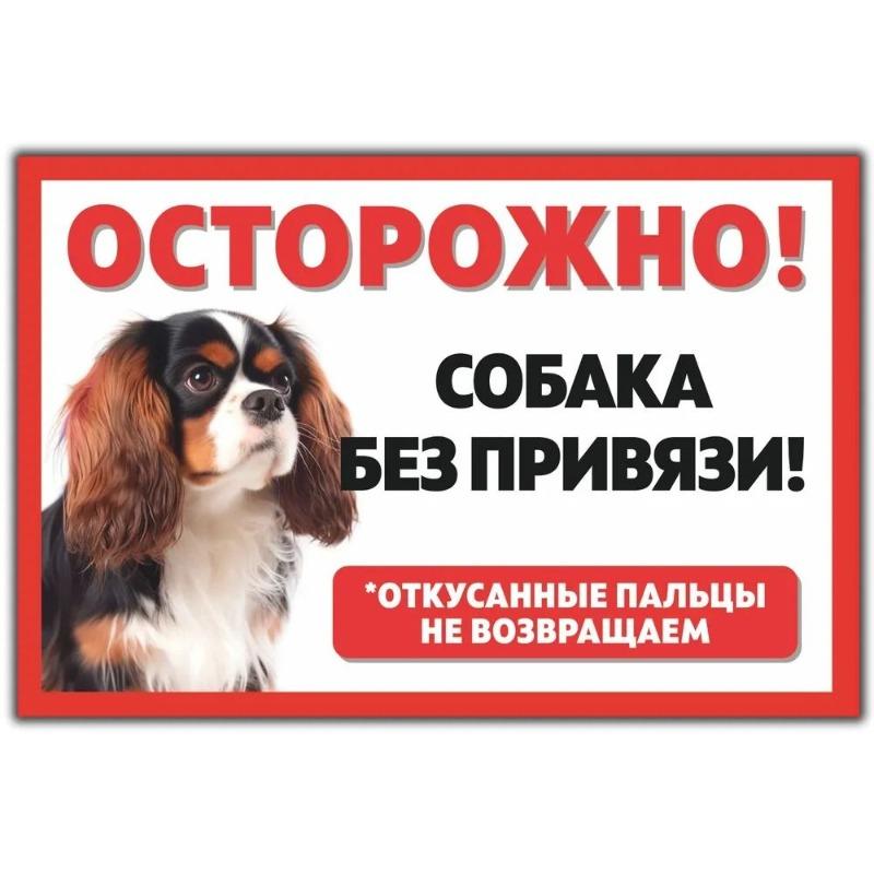 Смешная предупреждающая табличка о бродячей собаке, юмористическая табличка на забор