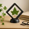 3D Floating Frame Display Stand ABS Plastic