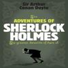 Sherlock Holmes The Adventures of Sherlock Holmes Sherlock... 9780755334353