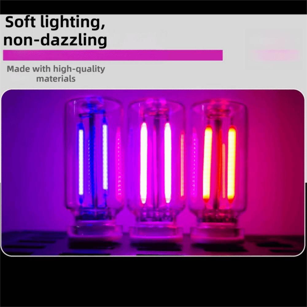 2Pcs Glass Material LED Filament Glass Bulb Eye Protection Retro Edison Bulb  Interior Decoration