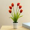 Artificial Tulip Plants Home Decoration Potted Flowers