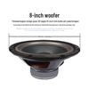 SHILE Conference Room Audio System with Wireless Microphones CN plug (adapter included)