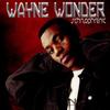 LP Record WAYNE WONDER - Schizophrenic AORLP074 Artists Only 2001 US Reggae, Ska & Dub