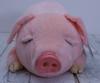 Shinada Happiness Series: The Happiness Pig (Large), 30 X 20 X 30 Cm, Plush Toy, Animal Merchandise, HPW-0380P