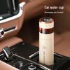Термобутылка с ситечком для заварки чая Mycaro