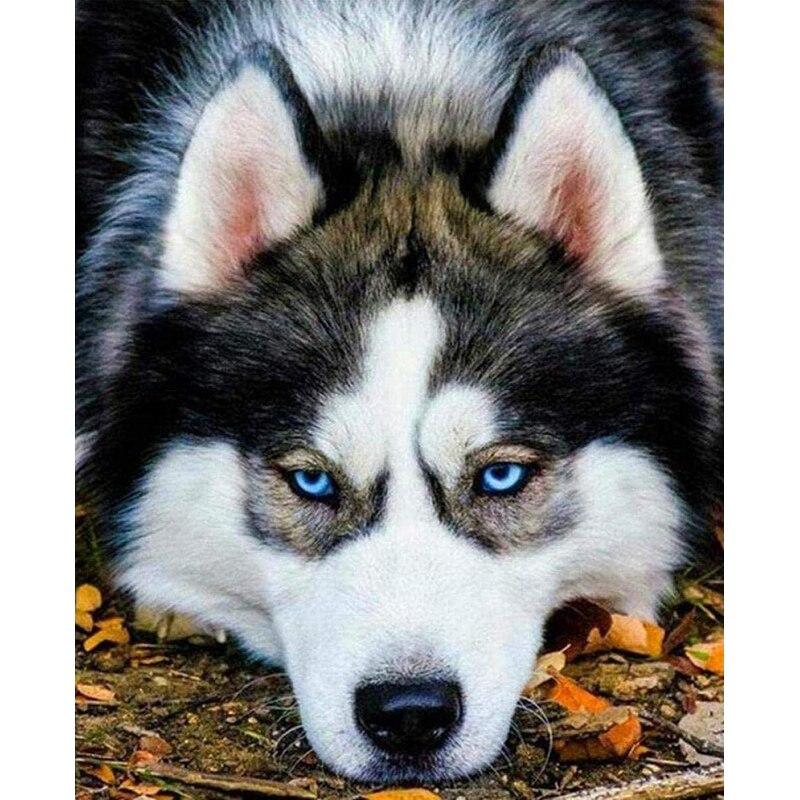 New 5D DIY Diamond Painting Husky Diamond Embroidery Animal Cross Stitch Full Square Round Drill Crafts Home Decor Manual Gift