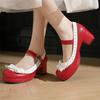 Women Mary Janes Lolita Pumps Round Toe Platform Thick High Heels Kawaii Buckle Bow Ladies Cosplay Shoes Spring Autumn