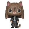 Harry Potter Hermione As Cat Pop! Vinyl