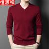 Hengyuanxiang Men's 100% Pure Wool V-Neck Pullover Sweater