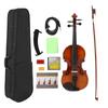 Violin Solid Wood Acoustic Music Instrument Electroacoustic EQ 44 for Beginners AVE03(Retro Color )