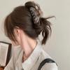 Sweet Color Block Acetate Hair Clip Women'S Temperament Hairpins Simple Shark Clip Hair Accessories
