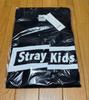 [USED] Stray Kids WEGO Collaboration Big T-Shirt Black