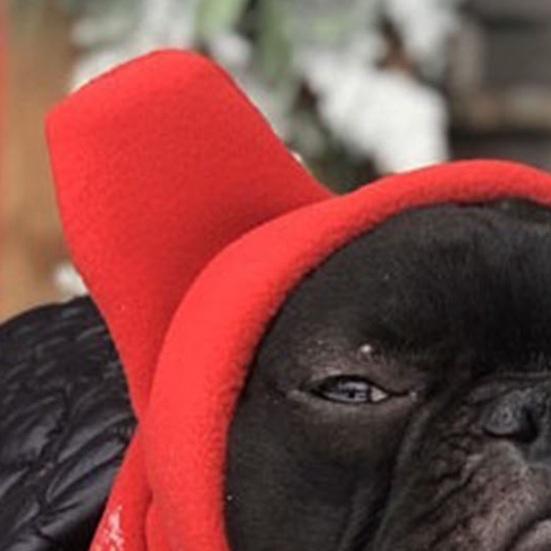 Зимняя шапка для собак из флиса, теплый головной убор для собак, чехол для ушей, регулируемый капюшон для собак