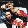 CD BUSTED - подарок для всех UICY9817 Япония Рок Б/У