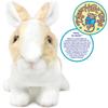 VIAHART [Tiger Tale Toys] Ridley Rabbit Plush Toy, Realistic 11-inch (27cm) Pet Rabbit, Cute Bunny [Official Japanese Product]