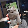 Чехол для телефона Samsung Galaxy S25 Ultra S24 S22 S21 S23 Plus S20 FE S9 S10 S24 FE с изображением британской короткошерстной кошки