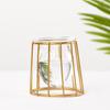 Frame Home Decoration Terrarium Metal Holder Hydroponic Vase Glass Planter Iron Geometric Pattern