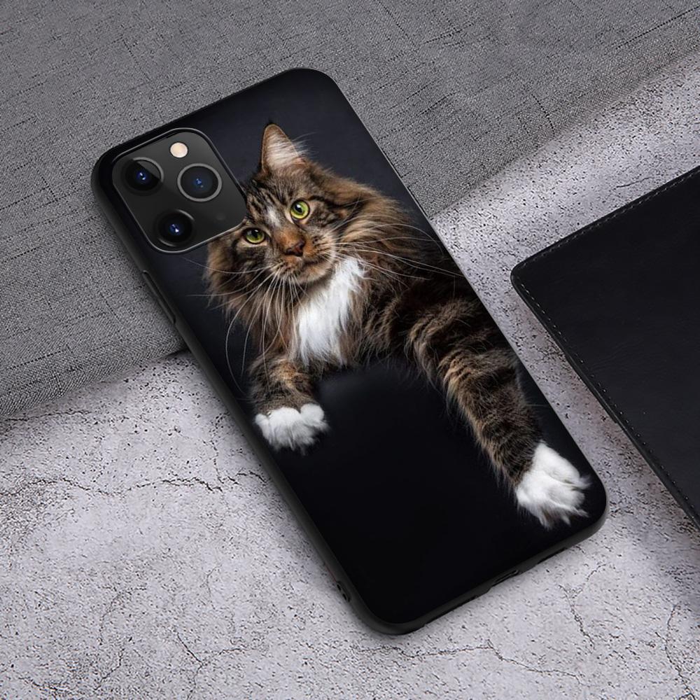 Чехол T145 с изображением кота мейн-куна для iPhone 13 12 Mini 11 Pro XS Max XR X 8 7 6 6S Plus 5 5S SE 2020