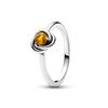 Кольцо Pandora Honey Eternity Circle_192993C11