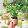 Mini Potted Plant Cute Collectible Plastic Doll House Orange Tree Model Decoration for Micro Landscape