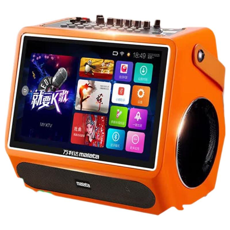 Malata C11 Portable KTV & Live Streaming Speaker (CN version)