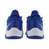 Nike PG 5 TB Royal Мужские кроссовки синие DM5045-401