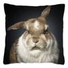 Смешная подушка с мемом про кролика, Домашнее украшение, Милая наволочка для дивана, Полиэстеровая наволочка для диванной подушки, Funda Cojines x