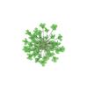 100шт прессованный сушеный цветок Ammi Majus из эпоксидной смолы для ногтей DIY Декор для телефона