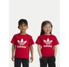 Футболка adidas adicolor Trefoil