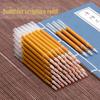 Golden Buddhist Scripture Pen Refill 1.0mm, Flash Copying, Free Shipping