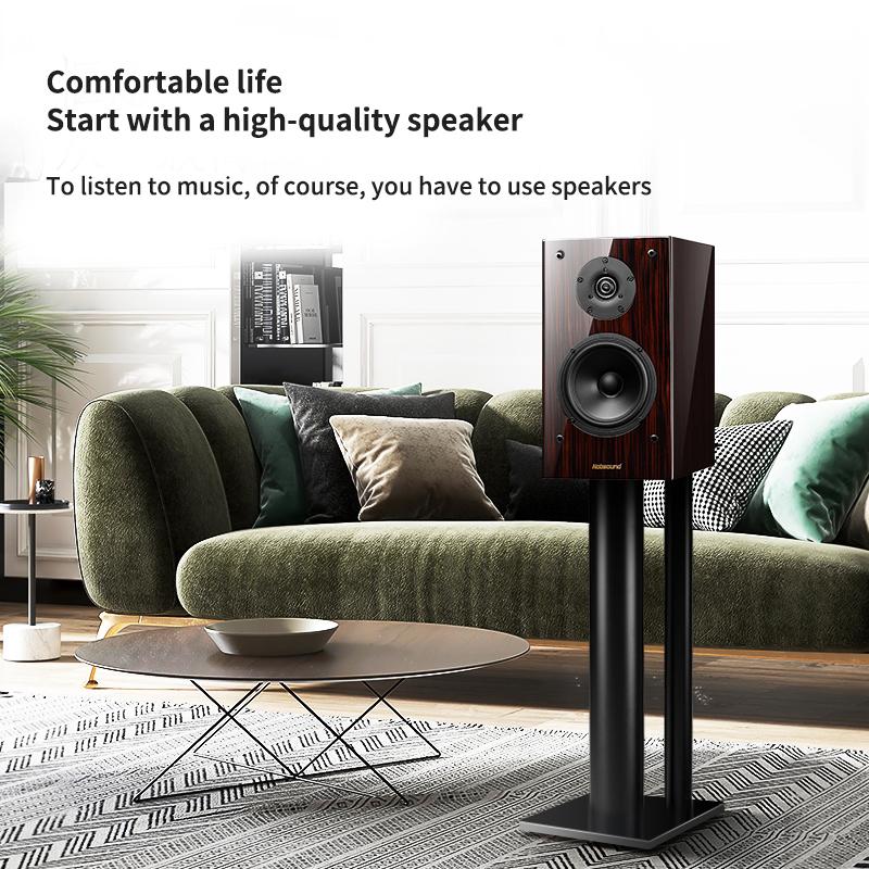 6,5-дюймовый двухполосный настольный динамик HiFi, высокомощный аудиодинамик, пассивный, полочный, для объемного звучания, домашнего кинотеатра, монитор, звуковой ящик