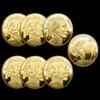 Indian 2019-2025 Multi-Year Commemorative Coins American Buffalo Gold-Plated Coins Commemorative Medal Coins
