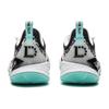 Баскетбольные кроссовки Li Ning DLO2 Низкие Унисекс Белый Черный ABPW013-11
