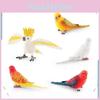 Parrot Animal Model Pvc Desktop Ornament For Kids Science And Cognitive Development