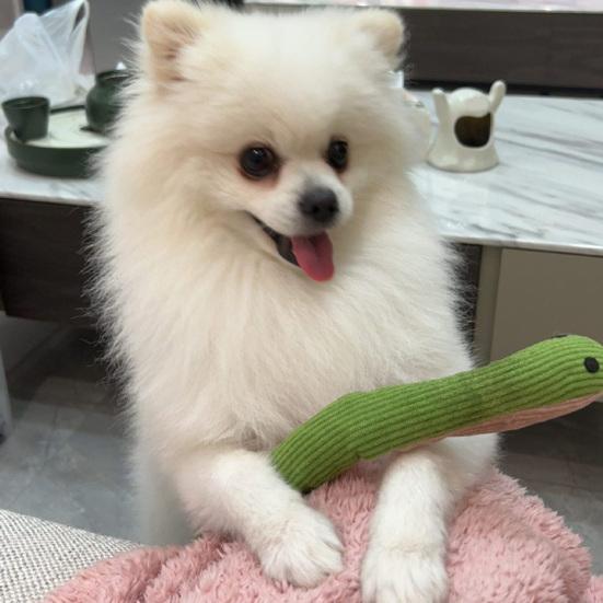 Corduroy Snake Dog Toy Soft Chew Toy Puppy Teething Toy Stuffed Green Snake Toy to Relieves Boredom And Anxiety for Dogs Teeth Cleaning Tug of War