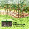 Greenhouse Winter-Proof Foil Greenhouse with Arched Roof, Ground Anchors, Greenhouse 400 x 120 x 170cm Transparent